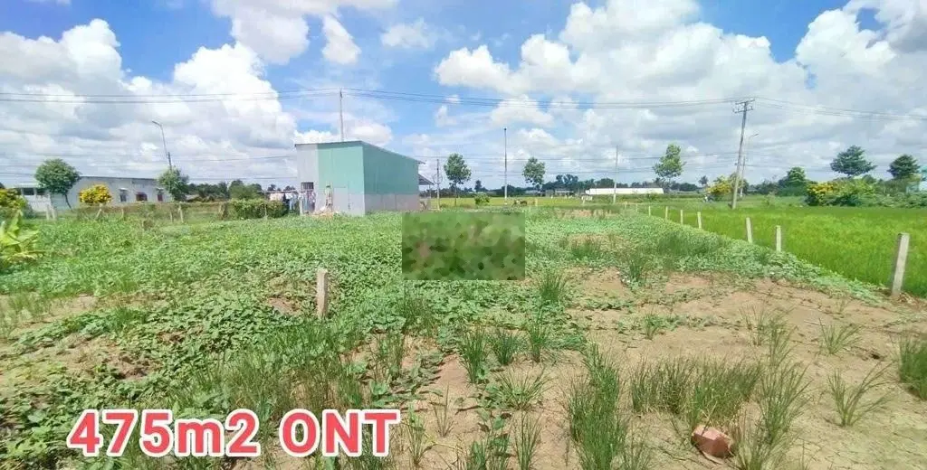 10 x 50m mặt tiền ĐT.833 gần cống Cai Tài