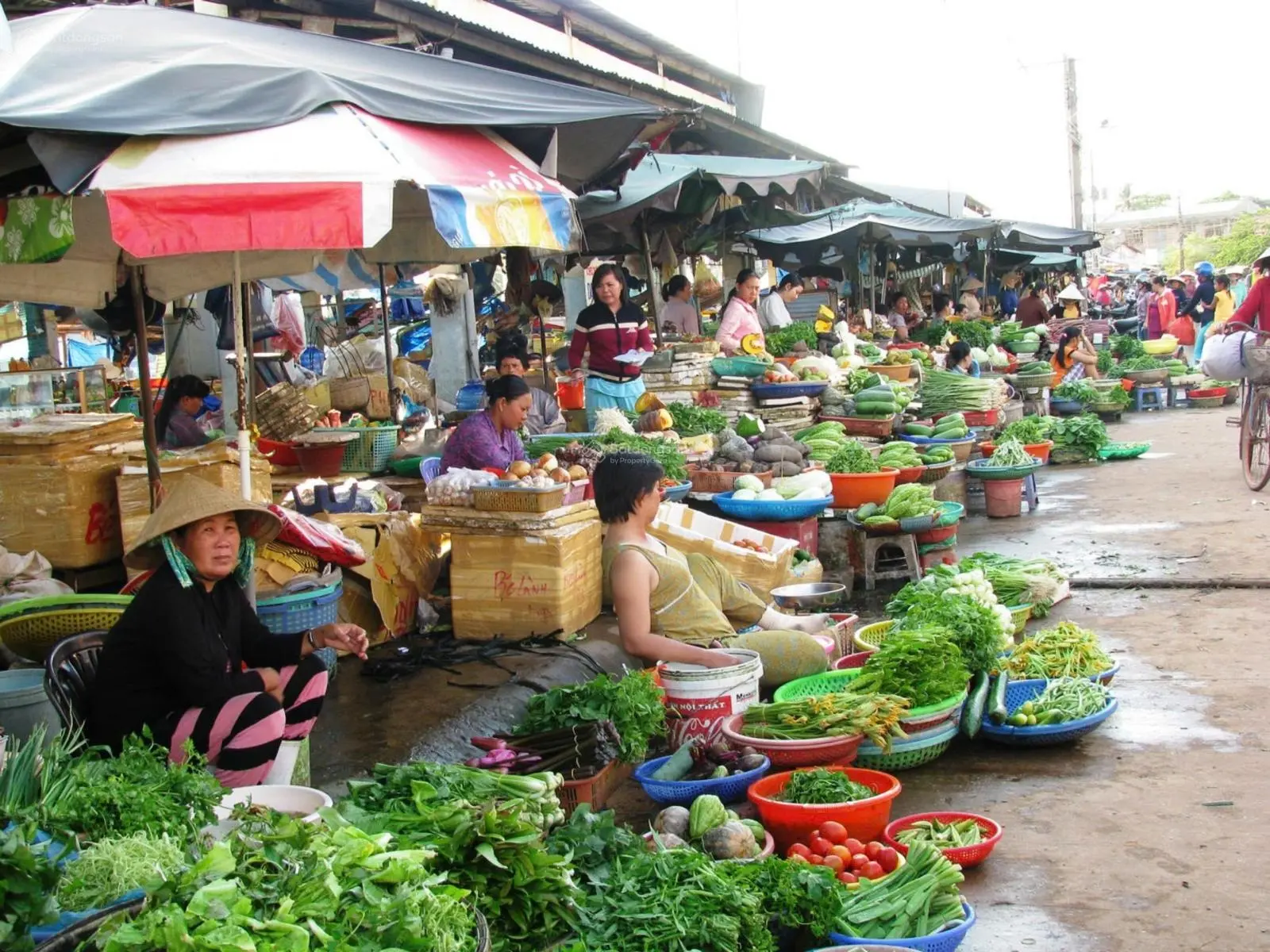 385tr sở hữu ngay đất nền vị trí vàng tại trung tâm bình phước. đầu tư chắc chắn, pháp lý minh bạch