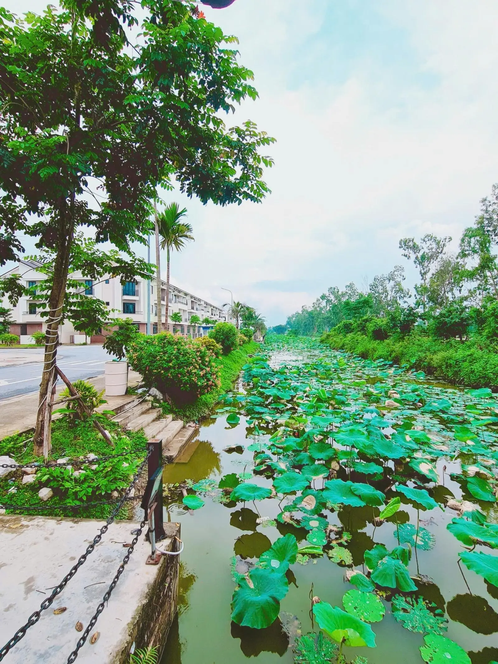 Bán căn áp góc shophouse 90m2. View công viên sông. Sát chợ vải Ninh Hiệp