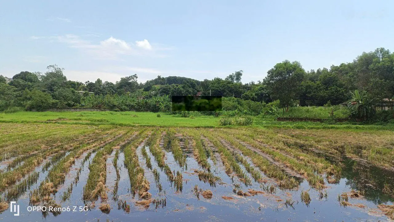 Nhích nhẹ 2 tỷ sở hữu ngay 570m2 đất Ba Trại, Ba Vì, HN view cánh đồng. Phù hợp khuân viên nhà vườn