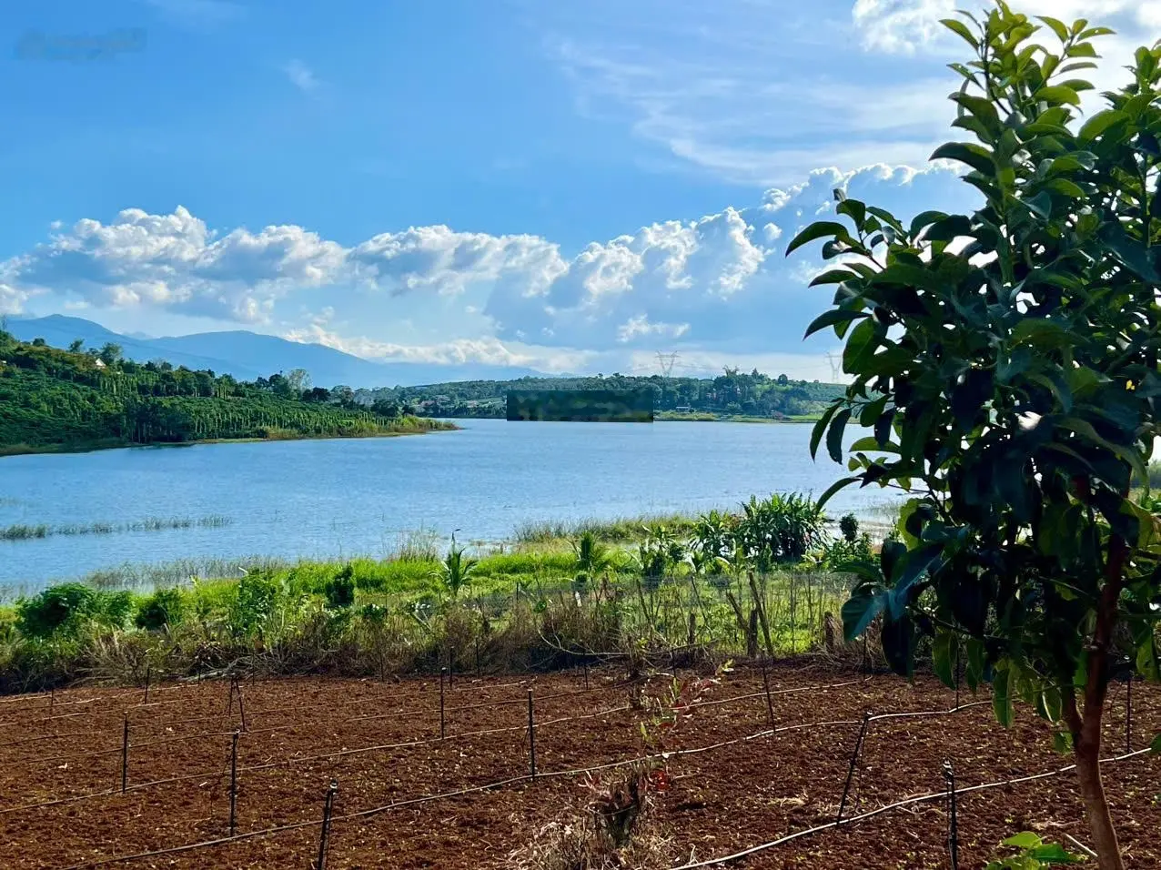 Tôi chính chủ không phải môi giới cần bán đất giáp hồ - chân chạm nước - thổ cư - chỉ 1,34 tr/m2