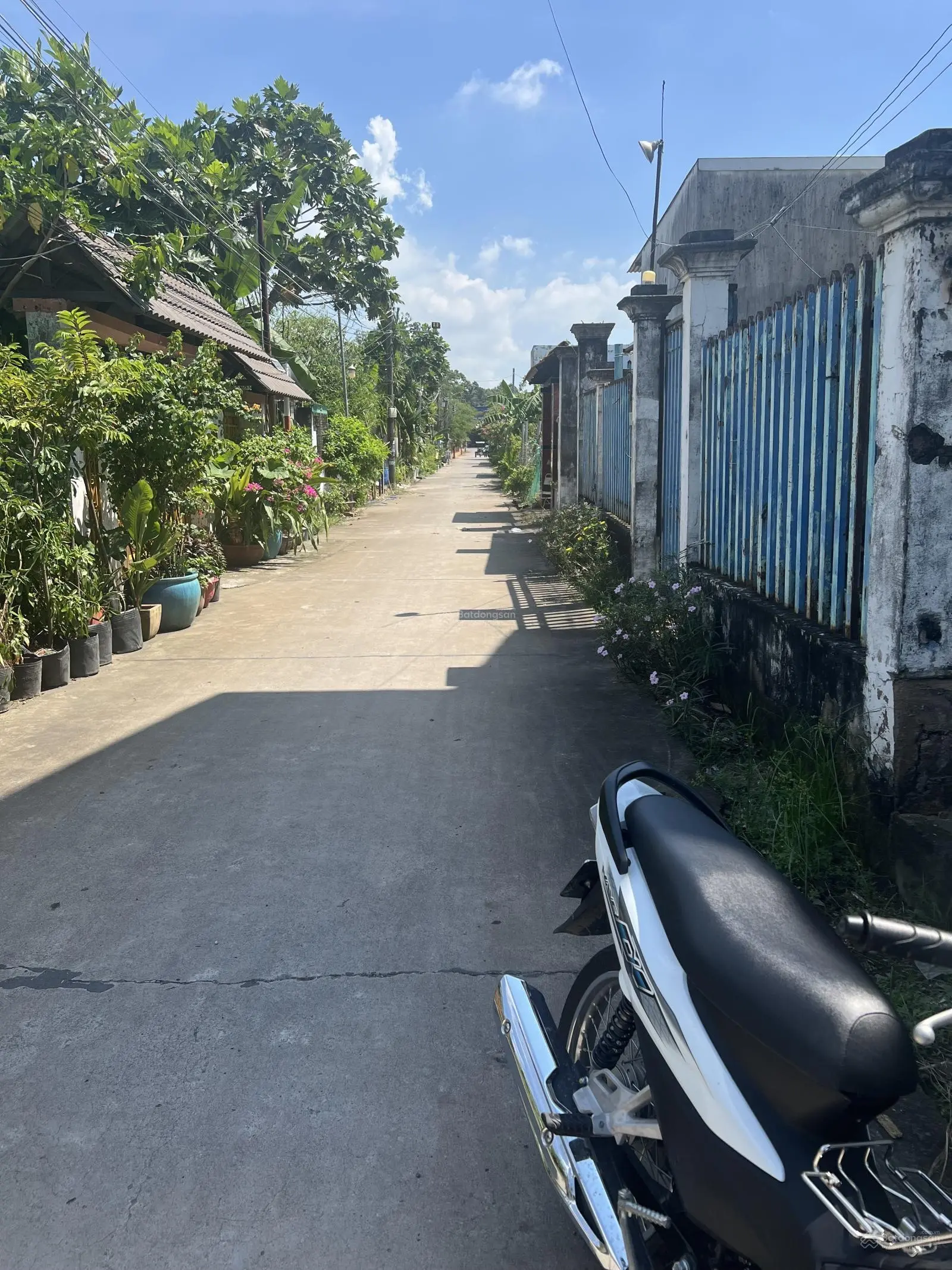 Cần bán nền đất xã Phú Đông , cách phà Cát Lái 6km, cắt lỗ 300tr bán nhanh.