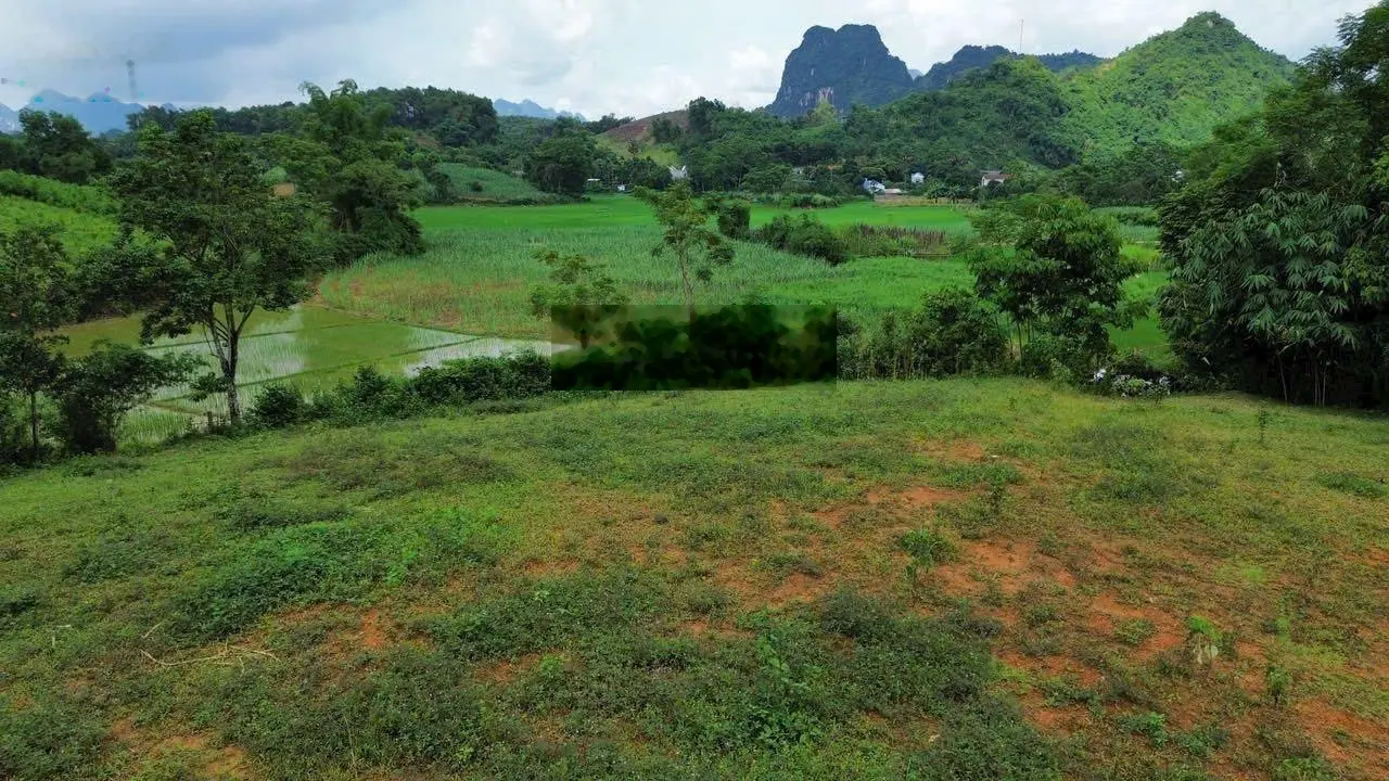 Cần bán lô đất thổ cư phù hợp làm nhà vườn nghỉ dưỡng cực đẹp tại Kim Bôi, Hòa Bình