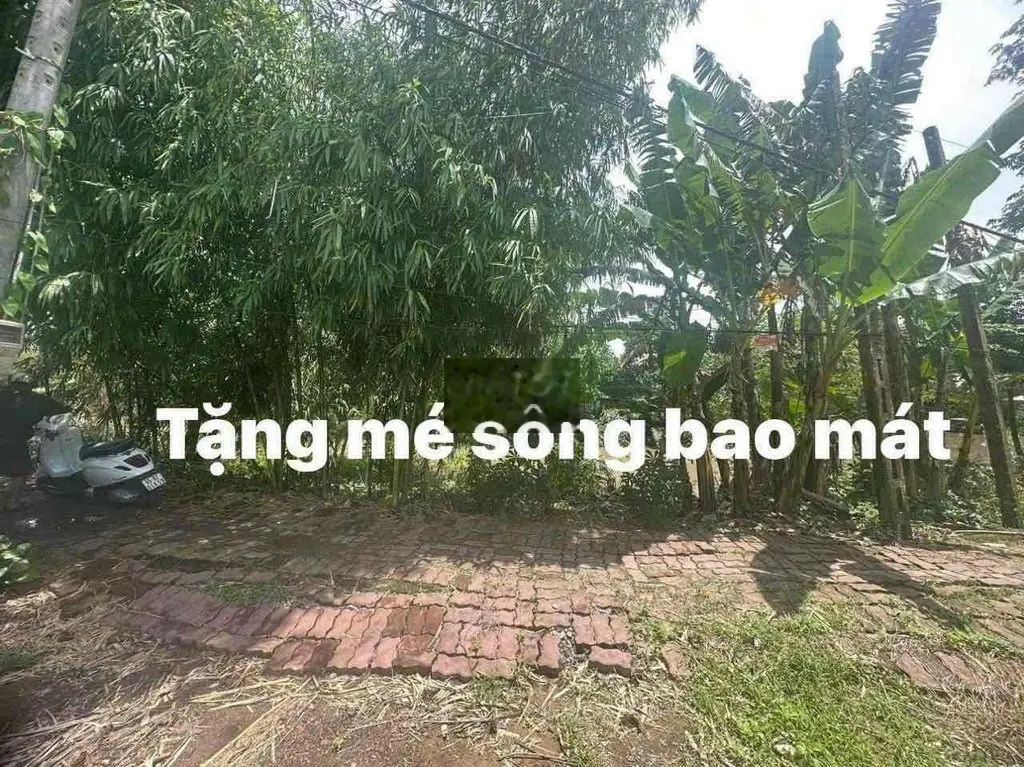 CẦN TIỀN BÁN GẤP