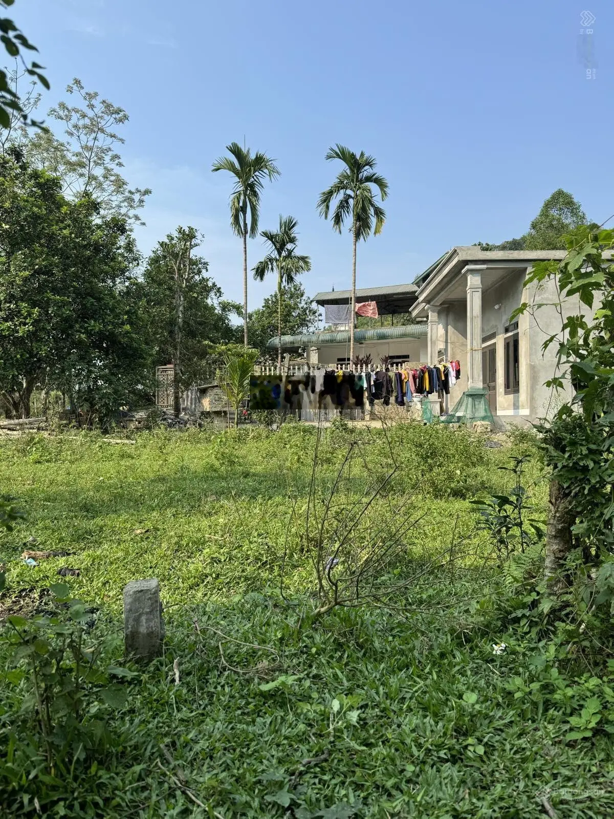 Bán gấp cắt lỗ đất Bảo Hiệu - Yên Thuỷ - Hoà Bình mặt đường Hồ Chí Minh, giá chỉ nhỉnh 1 triệu/m2