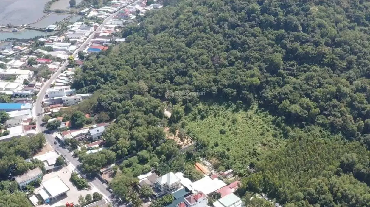 Bán đất ~4,7 ha Long Sơn Vũng Tàu phù hợp làm dự án