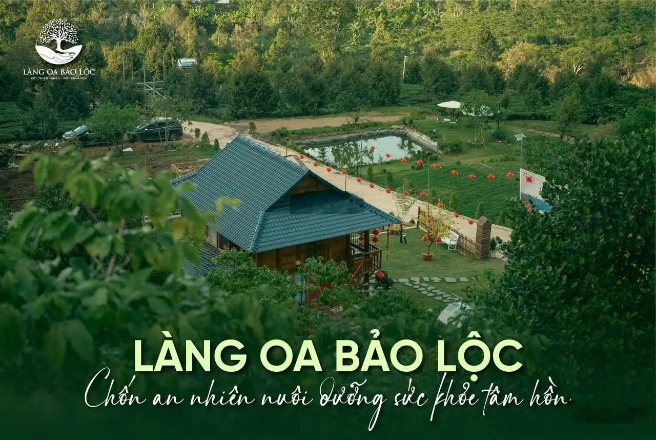 Làng Oa Bảo Lộc - Cộng đồng nhà gỗ ven suối, 15 tiện ích vượt trội, giá chỉ từ 1,45 triệu/m2