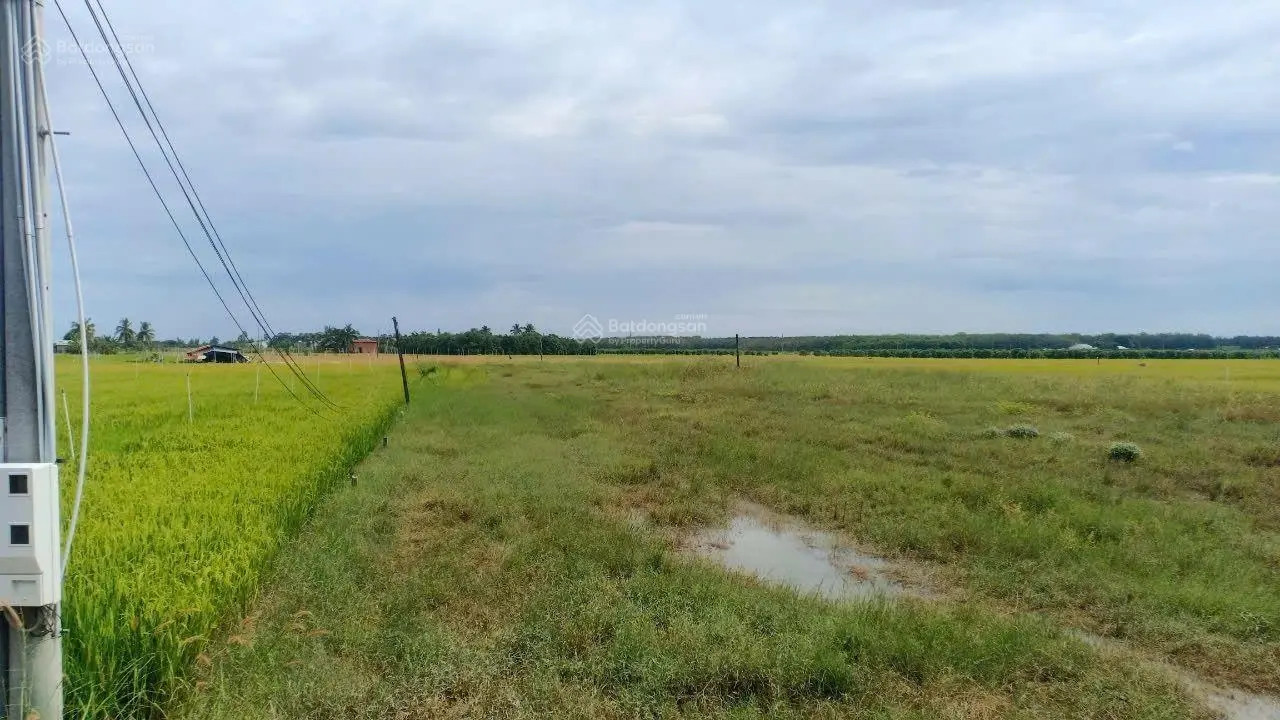 Bán đất quy hoạch khu dân cư,hiện trạng đất cây hàng năm, đường nhựa xe tải lưu thông