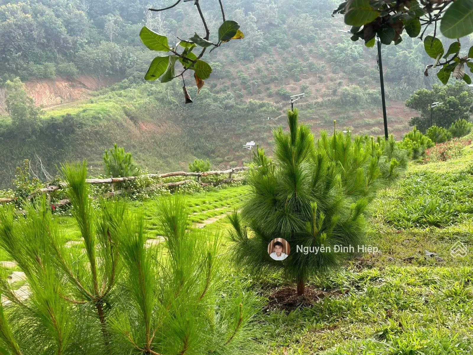 Bán Homestay view hồ Tp Gia Nghĩa - vẻ đẹp đến tự sự mộc mạc