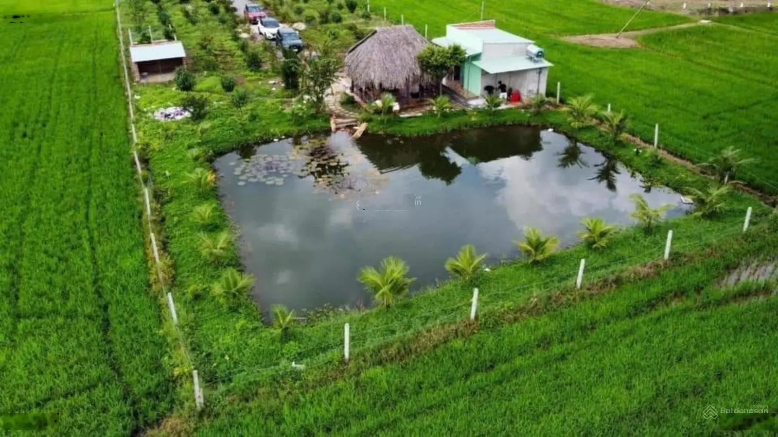 Bán hơn 2.6 sào nhà vườn bình trung - châu đức có sẵn nhà và ao cá, cây ăn trái chỉ 2.x tỷ