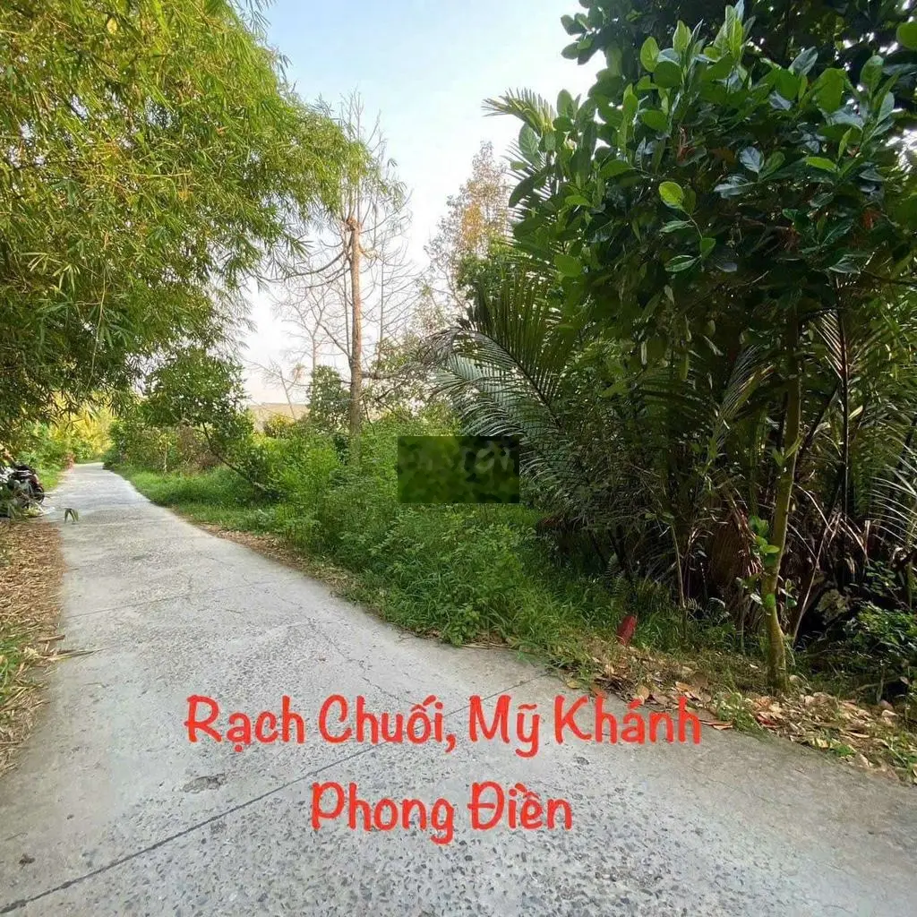 Bán nền giá rẻ Mỹ Khánh, Phong Điền cách Chợ Phong Điền 2,5km lộ ô tô