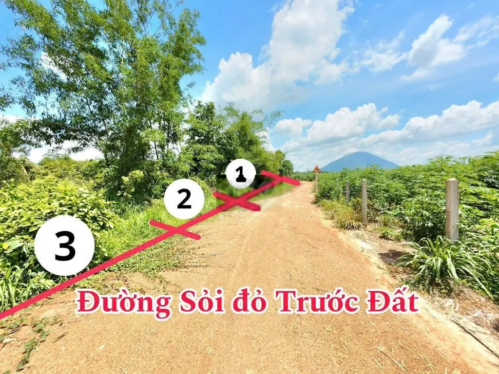 Kẹt Tiền thanh lý gấp đất thổ cư Trung tâm Tây Ninh