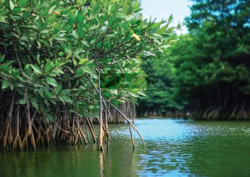 Siêu hiếm tại Lagoona Bình Châu, bán căn Villa sở hữu lâu dài bên bờ biển, sở hữu tiện ích 5 sao