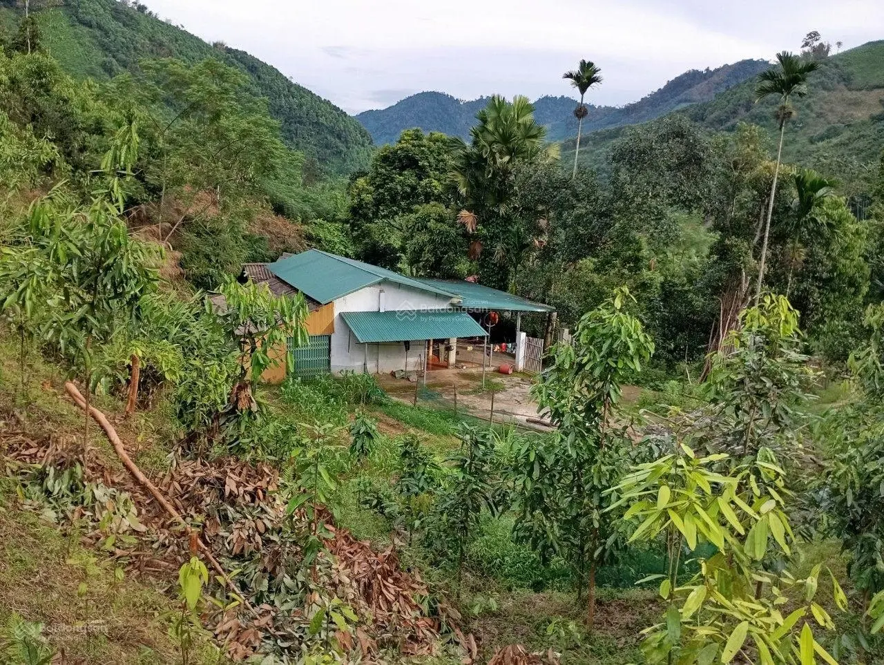 Bán Trang trại và Khu nghỉ dưỡng sẵn nhà tại Xã Trung Sơn, Yên lập ,Phú Thọ giá chỉ 150k/m2