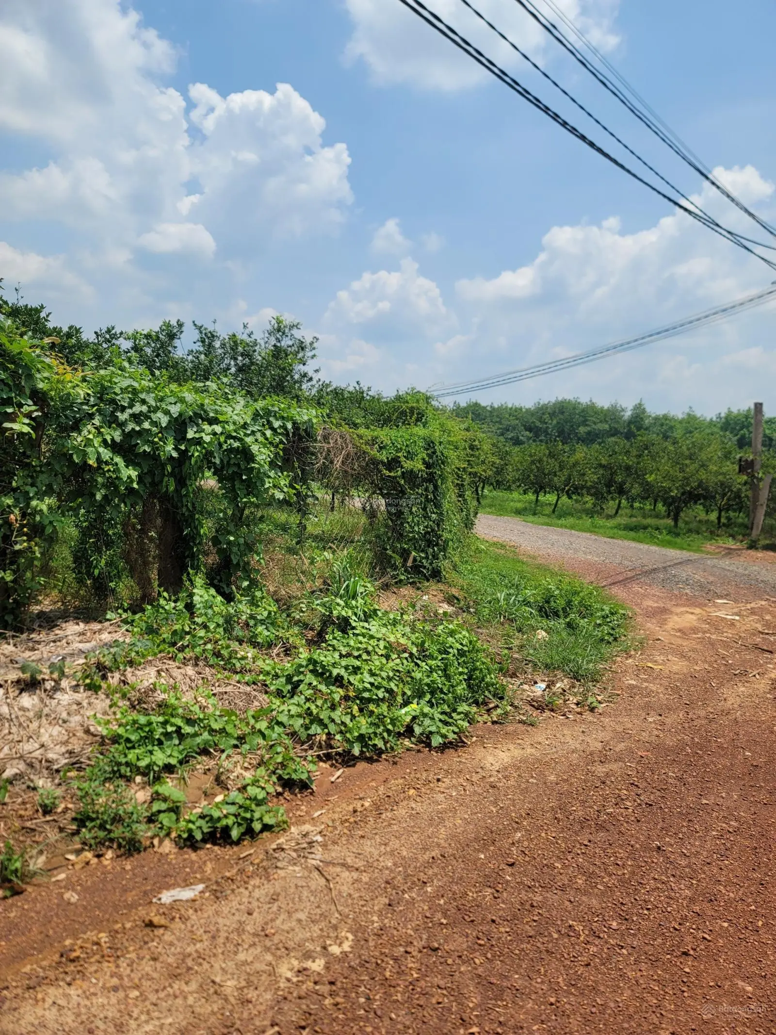 Bao ra sổ, giá còn thương lượng, 200m đất tại Xã Tân Định, Bắc Tân Uyên, Bình Dương