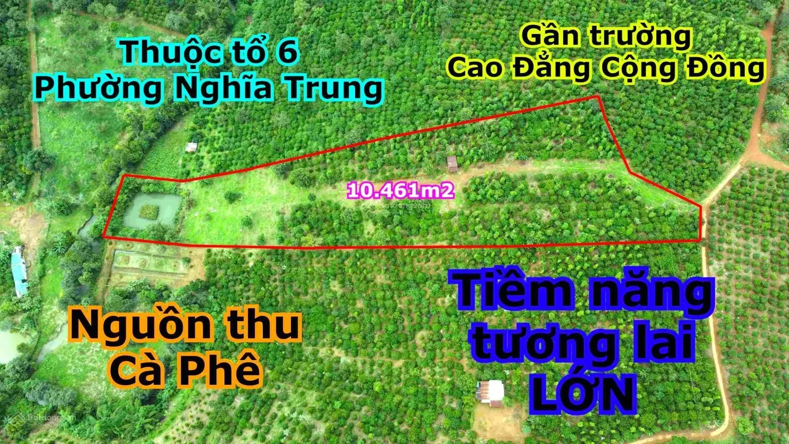 Hơn 1ha đất phường gần trường cao đẳng giá rẻ, tiềm năng phát triển lớn