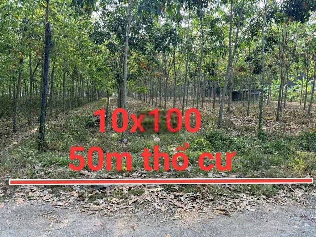 Đất sào Tây Ninh, view núi Bà,ngang 10 dai 100 giá 649tr/sào,đường12m