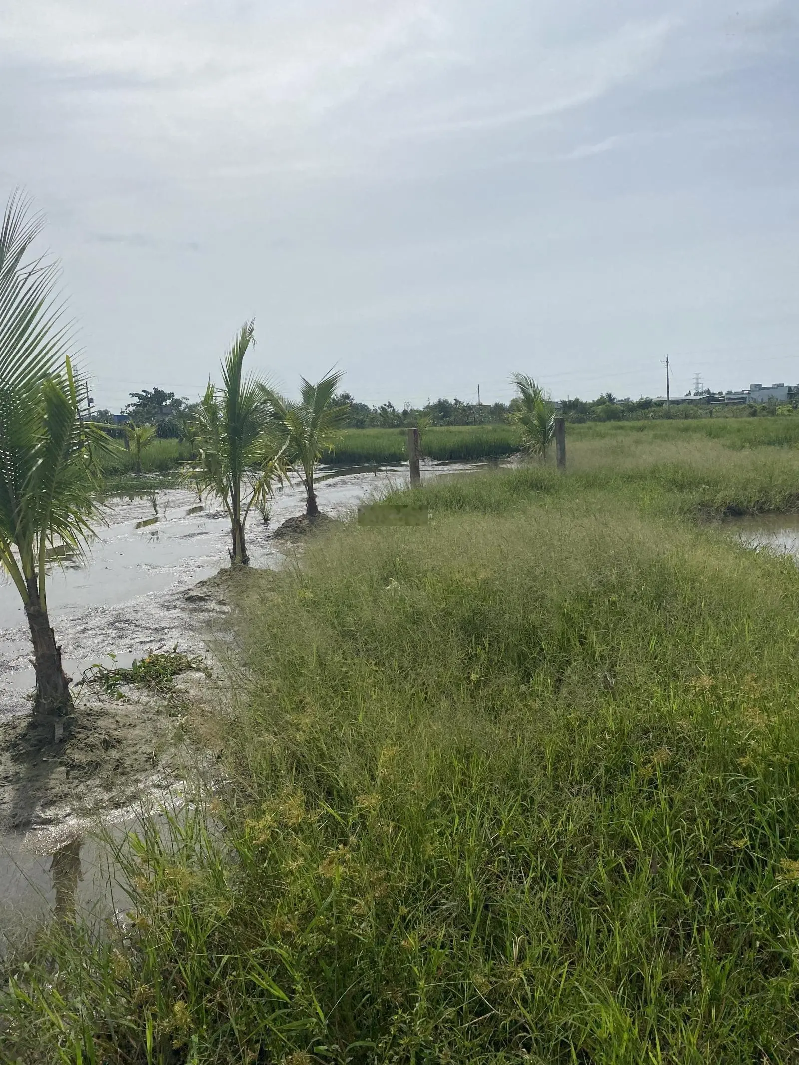 Tôi chủ đất bán lô 218m2 trồng cây lâu năm sát nhựa hàm chính hải lành về phan thiết 10km 149 triệu