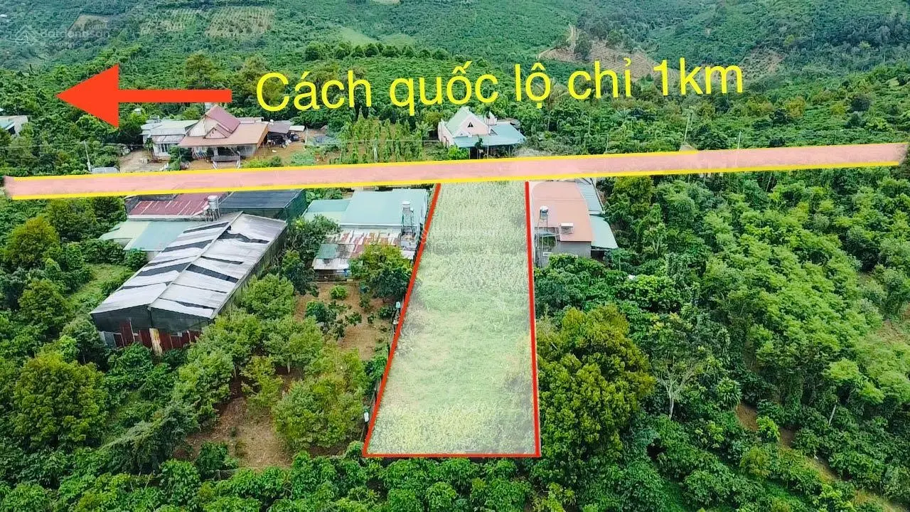 Chỉ 2,9 tỷ LÔ ĐẤT- TRỊNH HOÀI ĐỨC - TP BẢO LỘC - Diện tích : 914 m2 (14x65)(200m2 thổ cư)