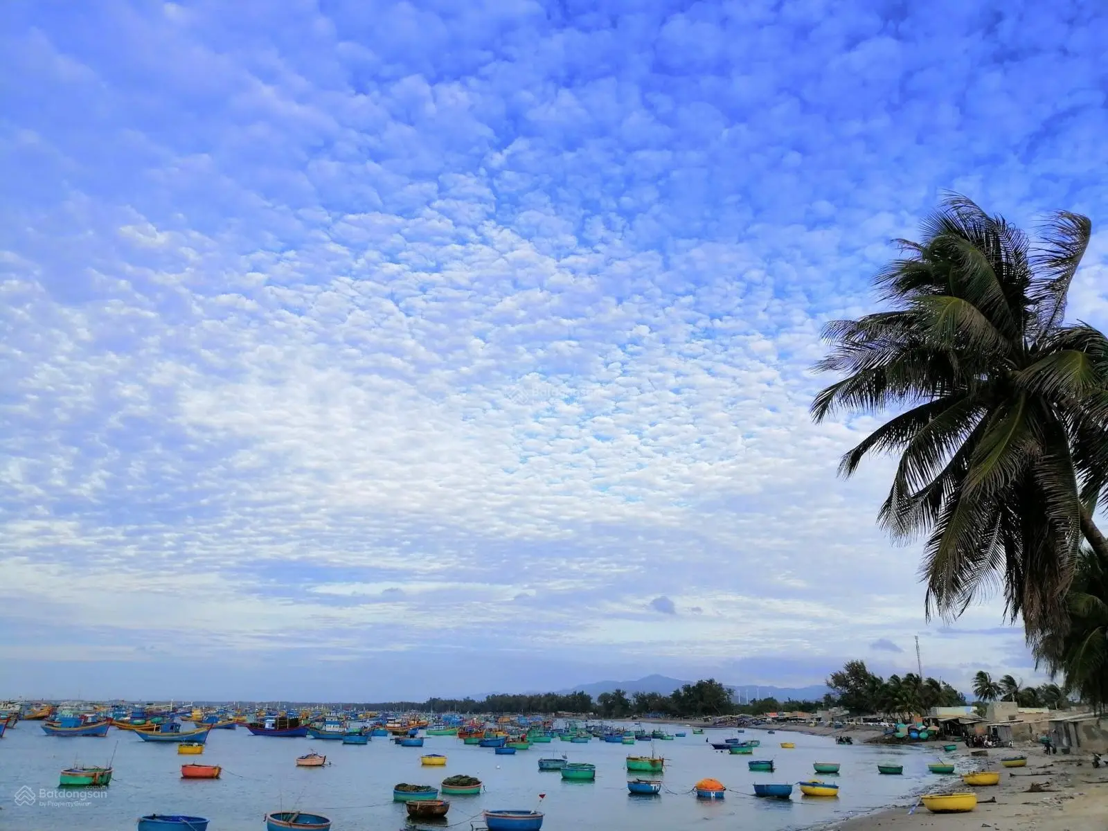 Đón sóng QH KDL Biển Cổ Thạch (1000ha), bán nhanh Lô đất đối diện Trường học, đường QH:29m, sổ sẵn.