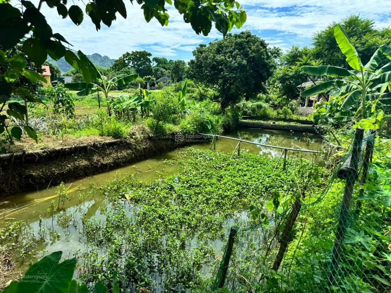 Bán đất tại Tú Sơn, Kim Bôi, Hòa Bình. Diện tích 1044m2, giá thương lượng