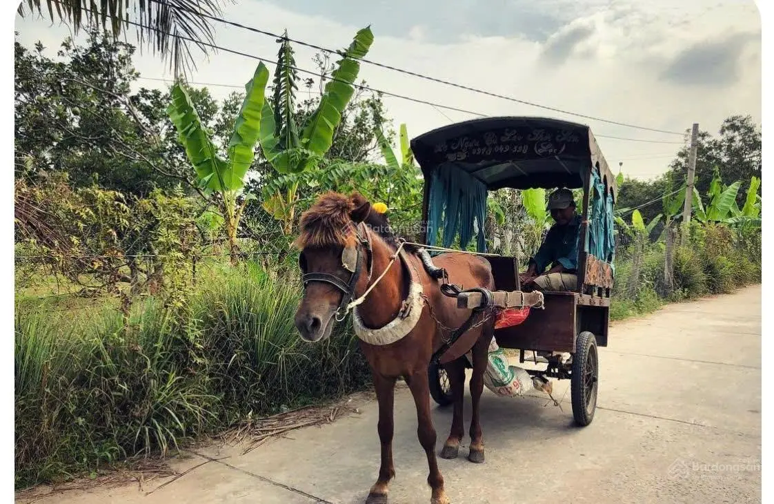 Cần bán đất mặt tiền đường nhựa cồn thới sơn, mỹ tho, tiền giang - giá 1,26 tỷ tl