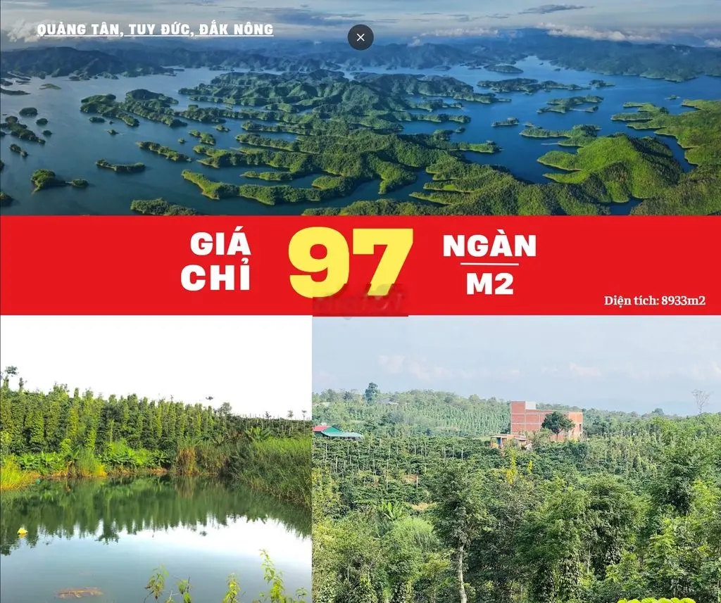 Gần 9 sào chỉ 97ngàn/m2, cách nhựa 800m, Daknong