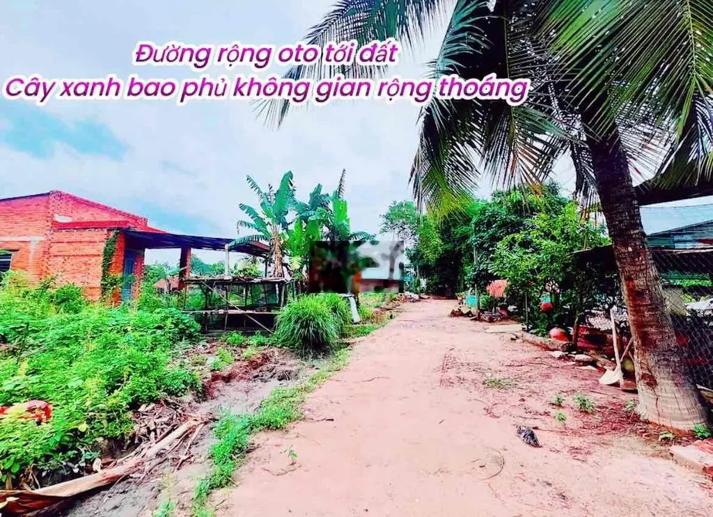 Đất đẹp giá rẻ dân cư đông Huyện Bến Cầu Tây Ninh