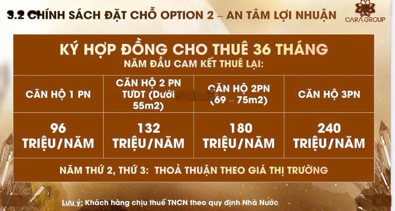 Tích sản với căn hộ hạng sang, tiền về đều mỗi tháng - cara river park