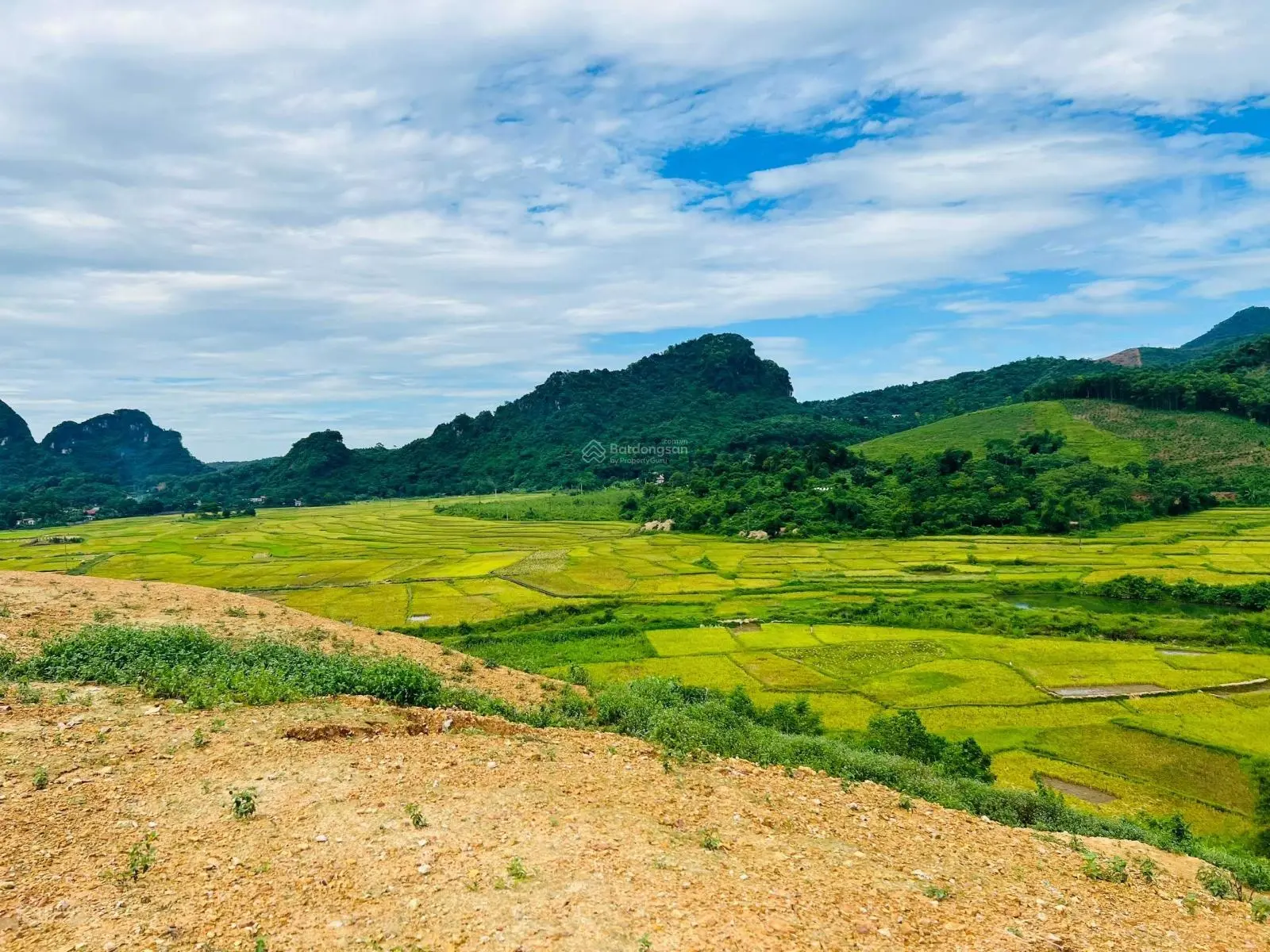 Bán đất tại Lương Sơn, Hòa Bình. Diện tích 9225m2