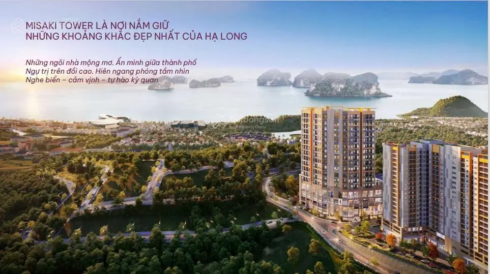 3 suất ngoại giao Misaki Tower căn hộ ngắm vịnh có tọa độ kỳ quan tầm cao biệt lập nhất