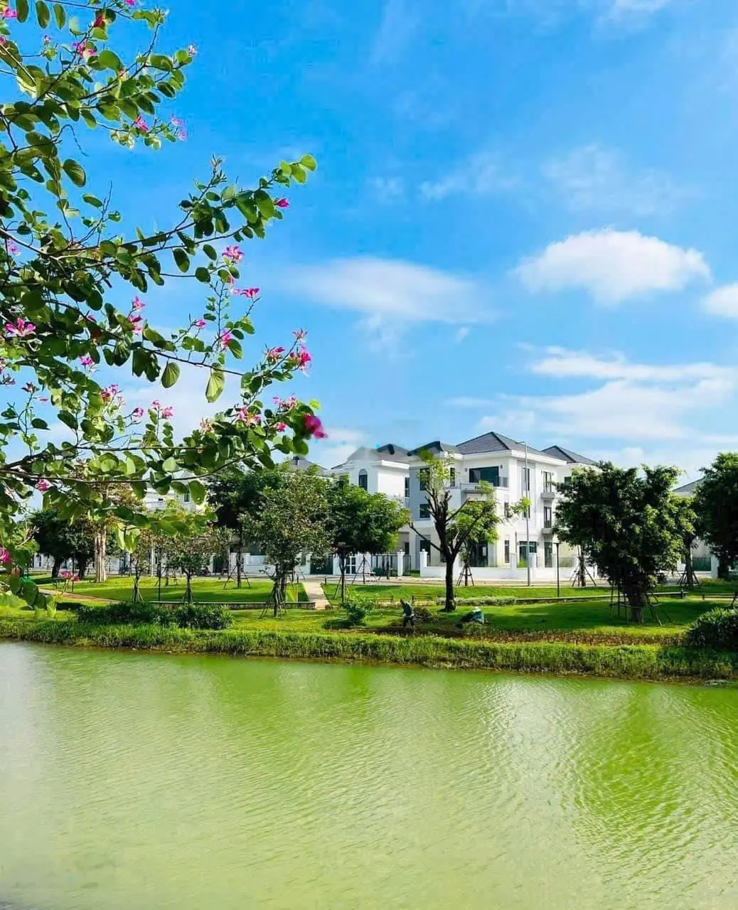 Biệt thự The Grand Villas Aqua City giá thấp nhất 13,8 tỷ, 330 m2, HĐMB tặng 30m2 sân vườn