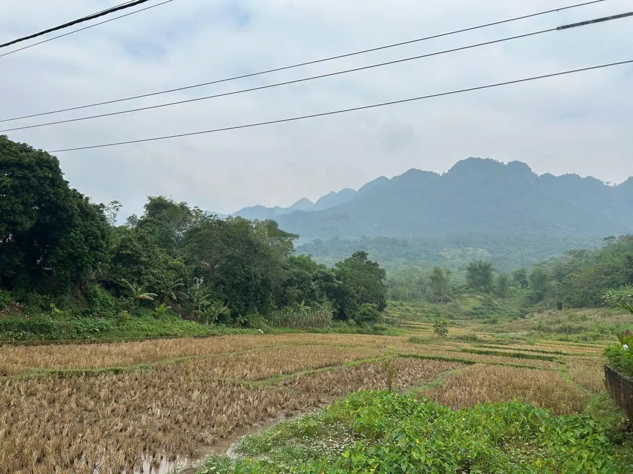 Chính chủ bán 10,0000m2 đất tại Cun Pheo, Mai Châu, Hoà Bình