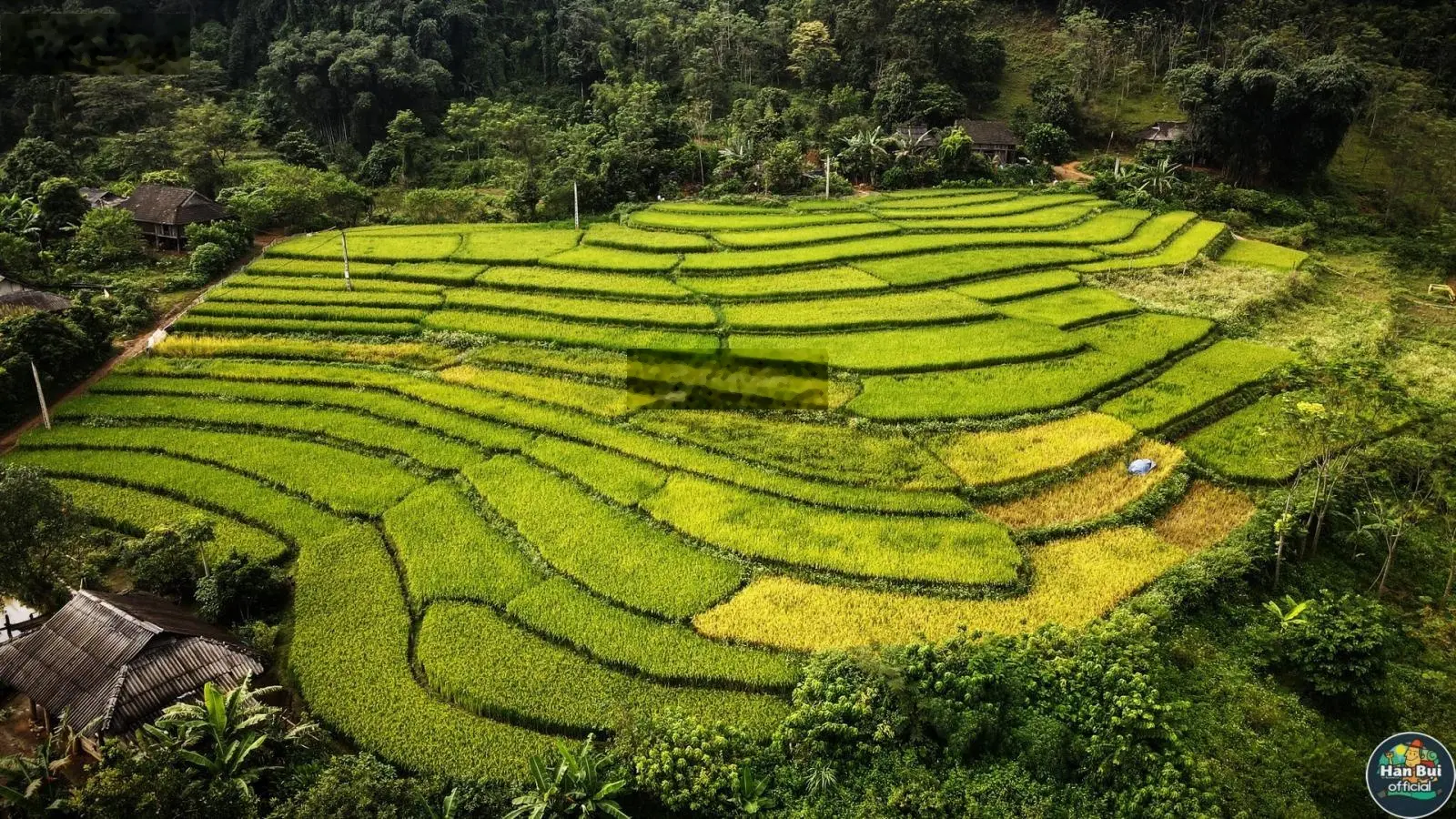 Bán trang trại - khu nghỉ dưỡng tuyệt đẹp tại xã chiềng sơn, mộc châu - ngắm trọn đỉnh pha luông