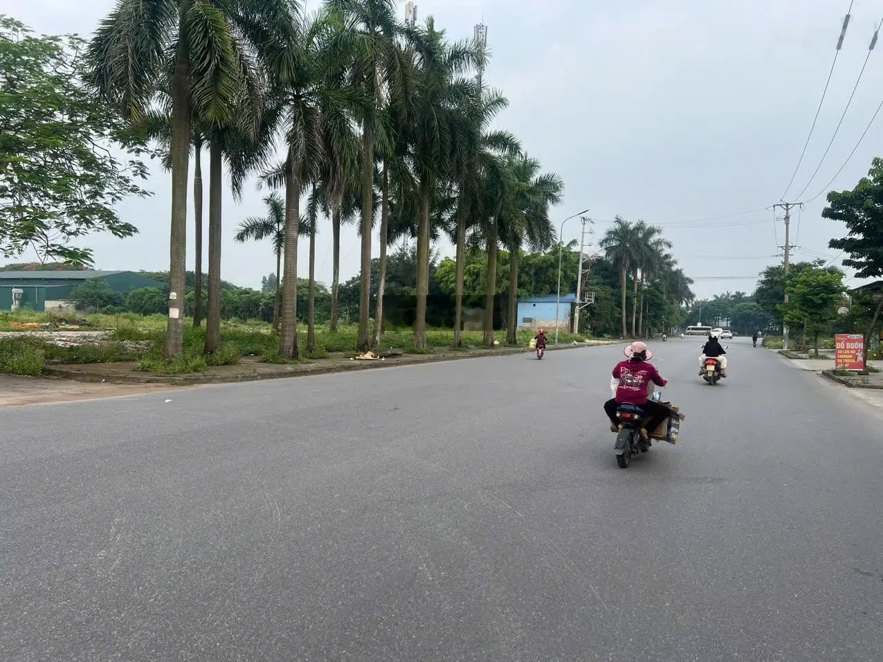 Chính chủ cần bán 3000m đất mặt đường ninh hiệp làm kho sưởng, đường rộng 25m vị trí kinh doanh