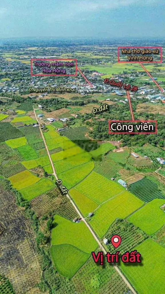 Đất khu phố 3 thị trấn Ma Lâm, 1000m2 có 200m thổ cư, đường oto