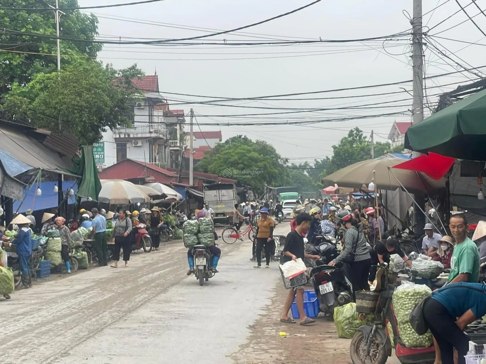 Đấu giá Đông Tảo mới - Giáp uỷ ban xã và trường học kinh doanh được luôn chỉ hơn 2 tỉ