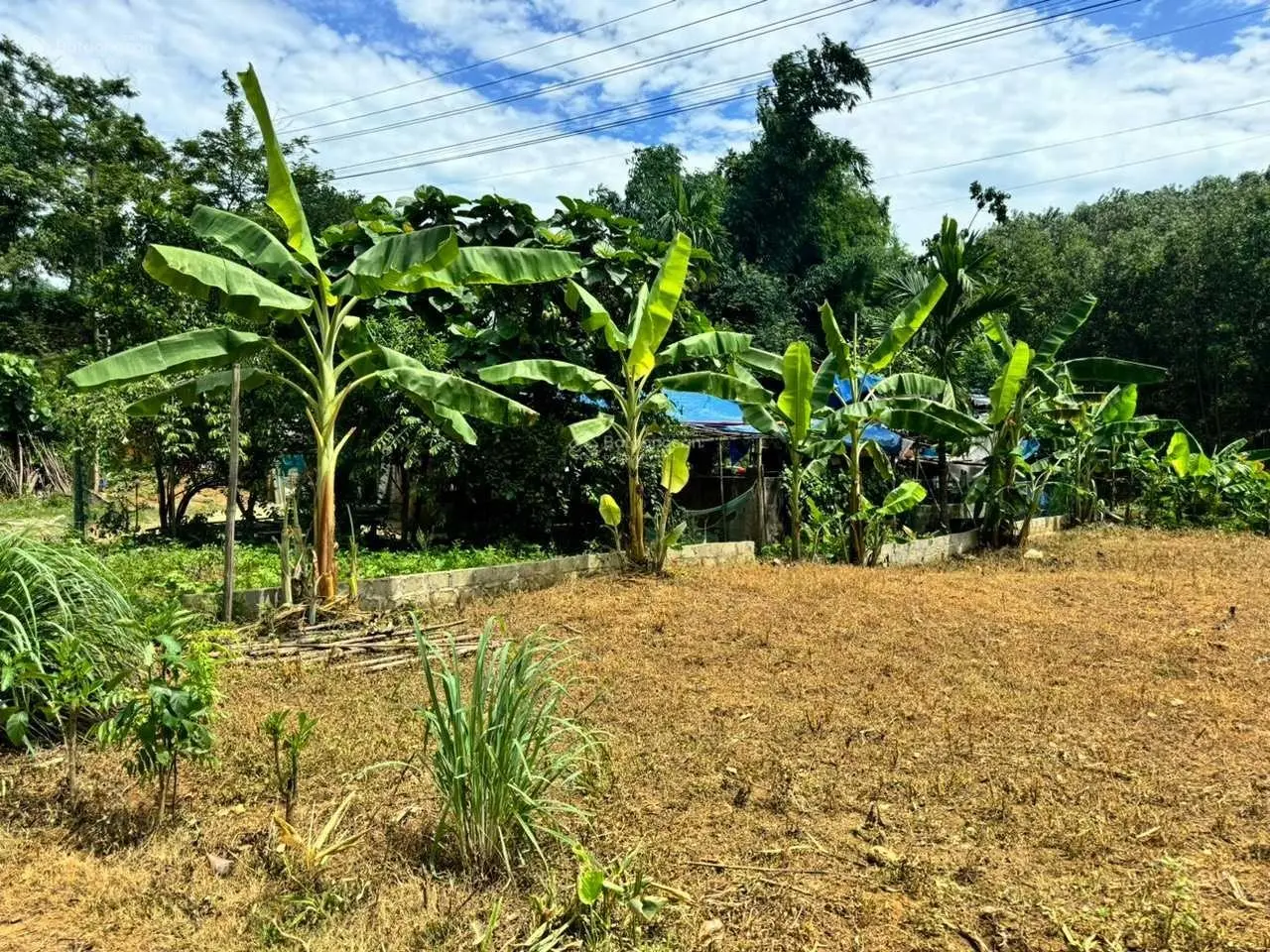 Bán đất tại Tú Sơn, Kim Bôi, Hòa Bình. Diện tích 1044m2, giá thương lượng