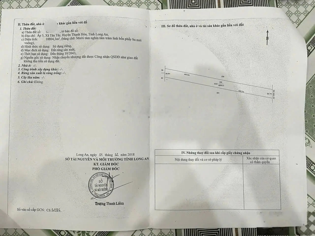 Đất lúa giá rẻ Tân Tây, Thạnh Hóa km 23, phân lô, đầu tư sinh lời ngay