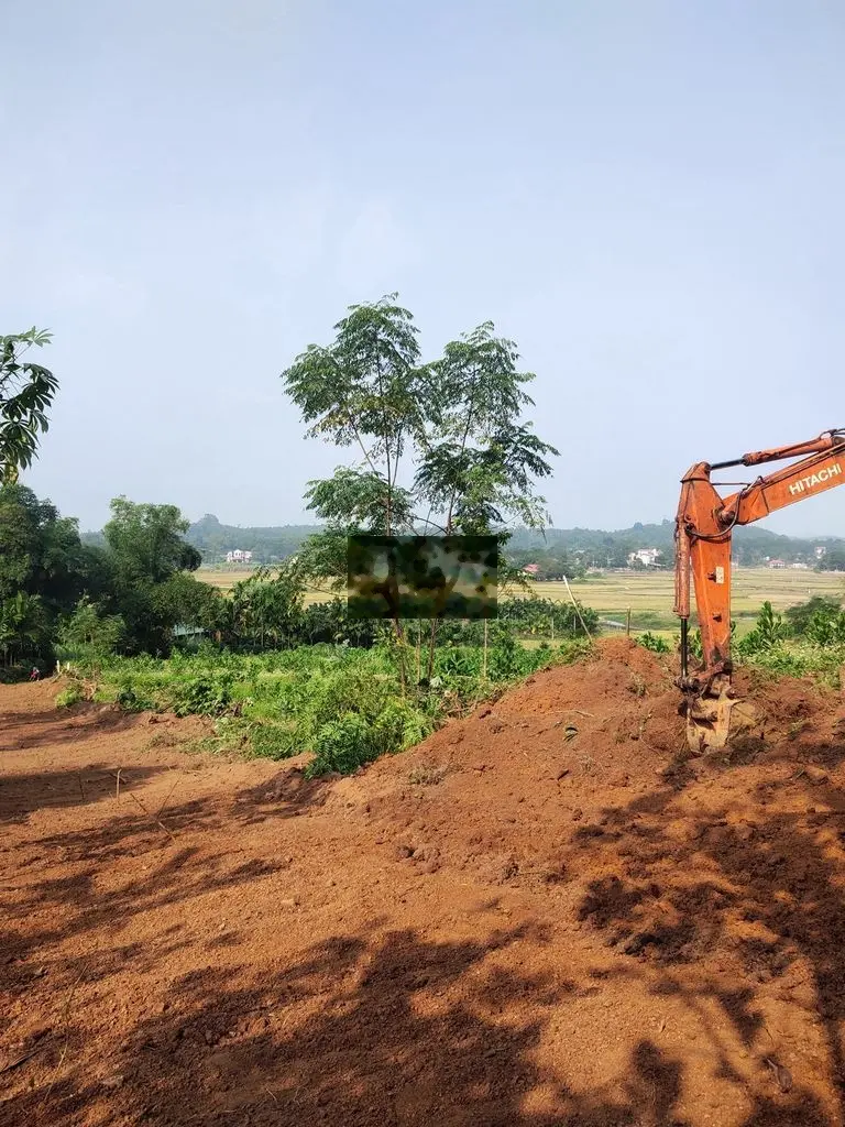 1300m full thổ view cánh đồng,lạc sơn,hoà bình