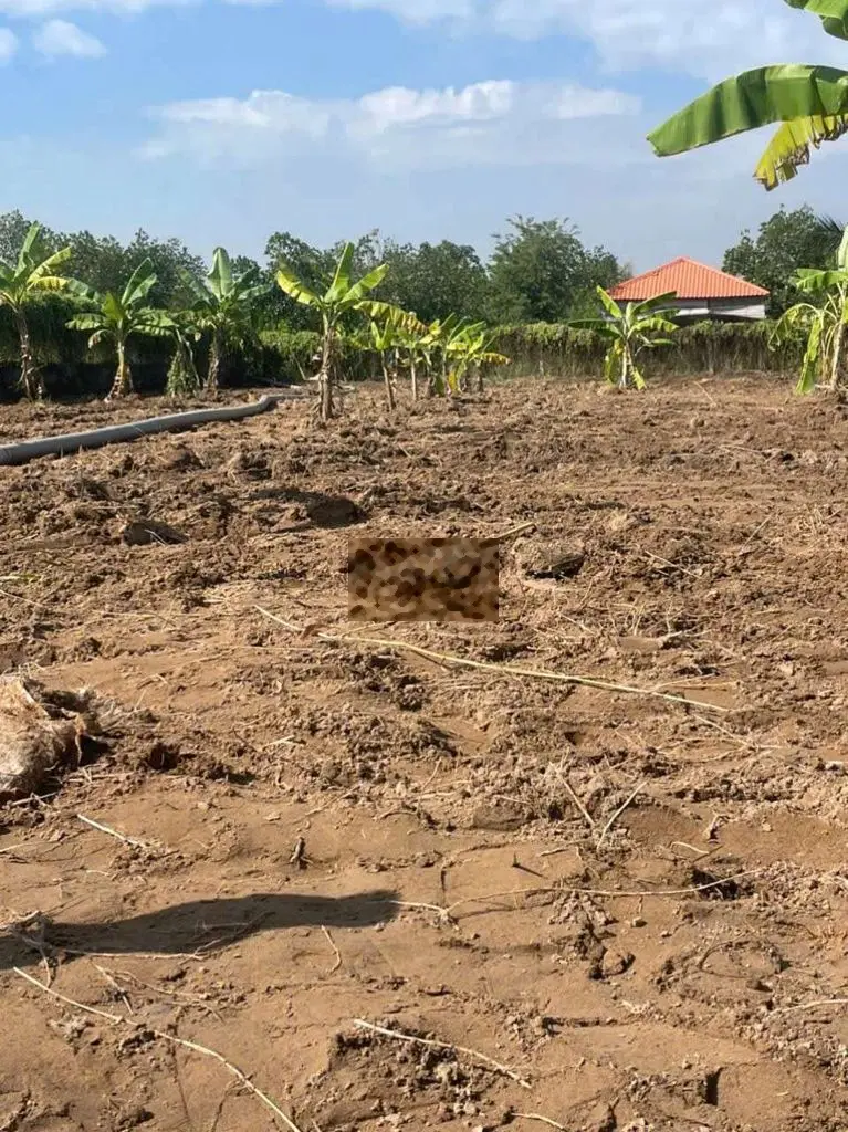 Bán đất vườn 1000m.