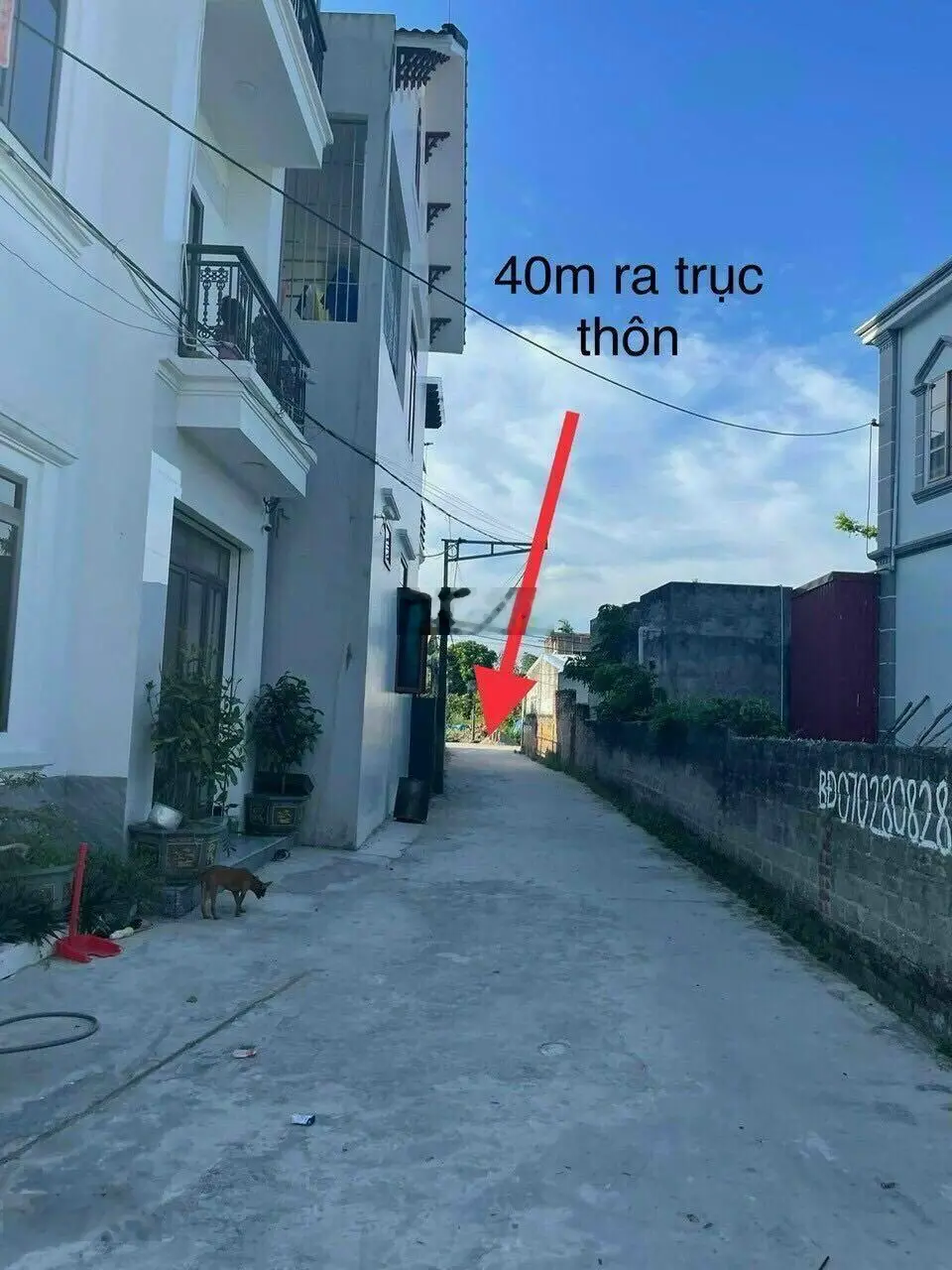 Bán đất tại Dân Hạnh, Đặng Cương, An Dương, Hải Phòng. Diện tích 61m2, giá thương lượng