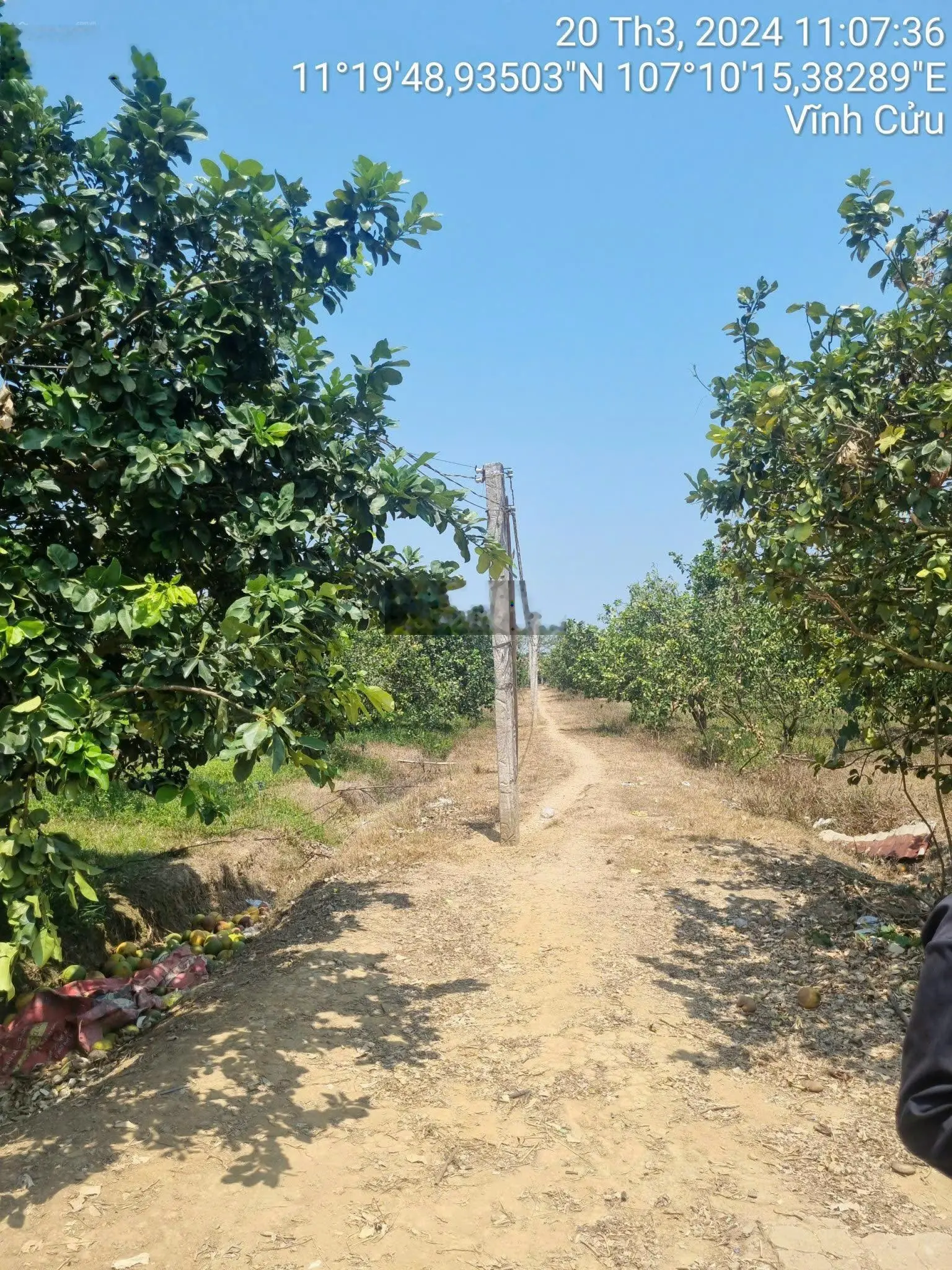 * Phát mại * Ngân hàng VIB thanh lý bán đấu giá tài sản tại TĐS 181, X Phú Lý, H Vĩnh Cửu, Đồng Nai