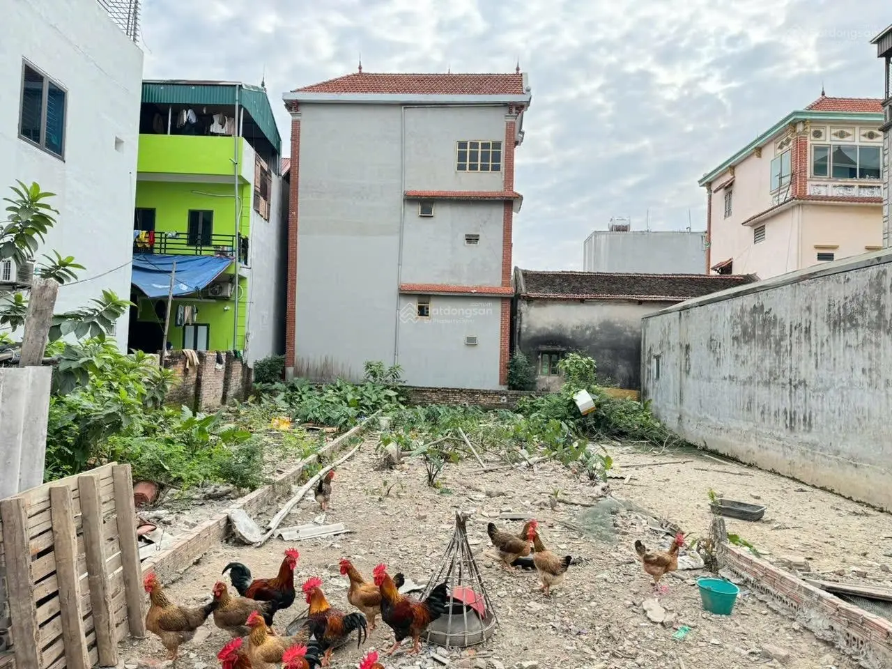 Bán đất tổ 11, Quang Minh, Mê Linh, HN. Trục chính kinh doanh của làng. DT 100, giá 4,338 tỷ.