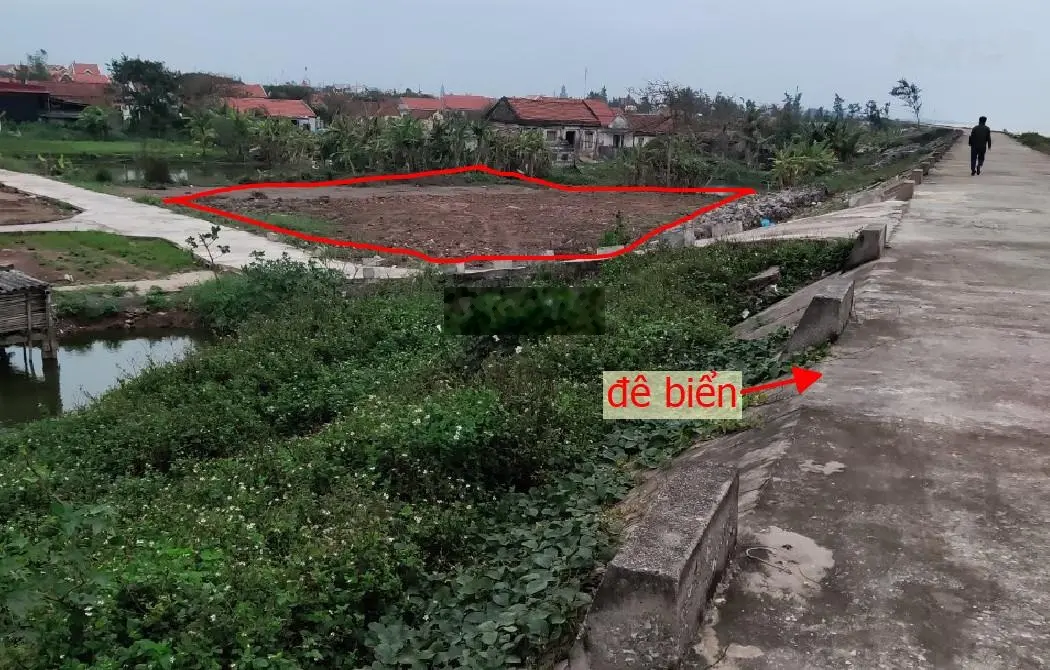 Bán 1.260m2 đất mặt đê biển Hải Triều, Hải Hậu, Nam Định