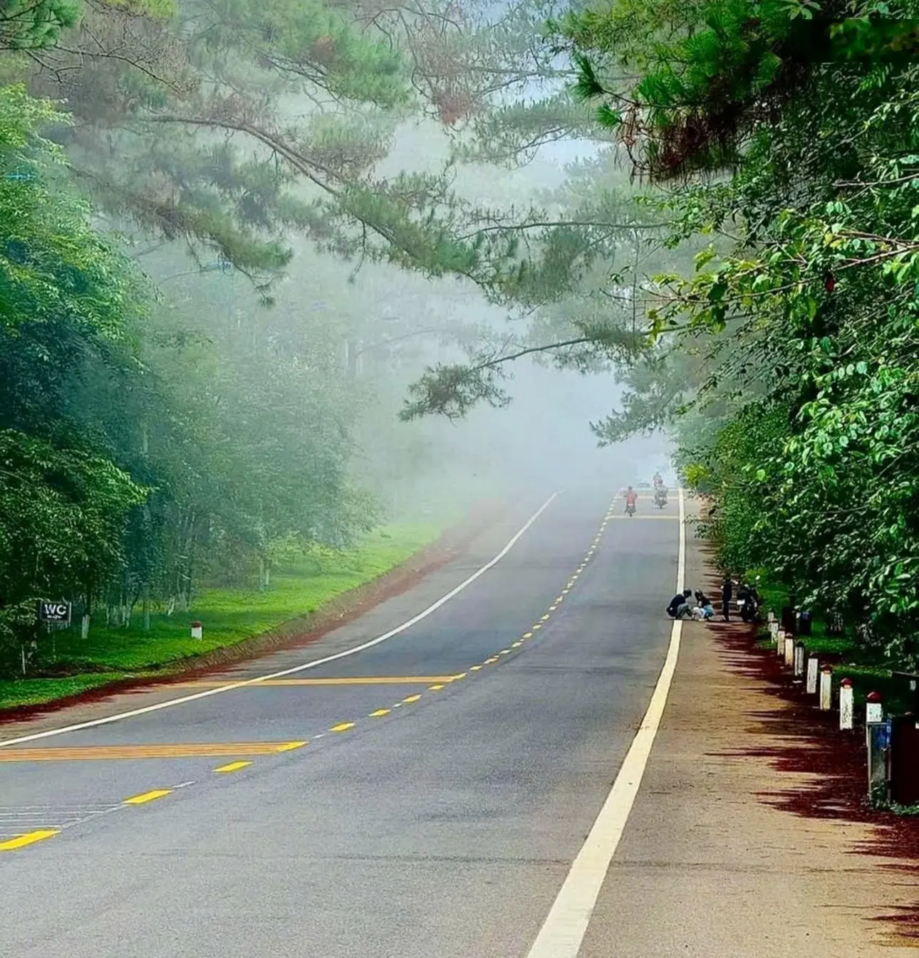 Bán homestay đang kinh doanh tại Măng Đen có view săn mây chill nhất khu du lịch