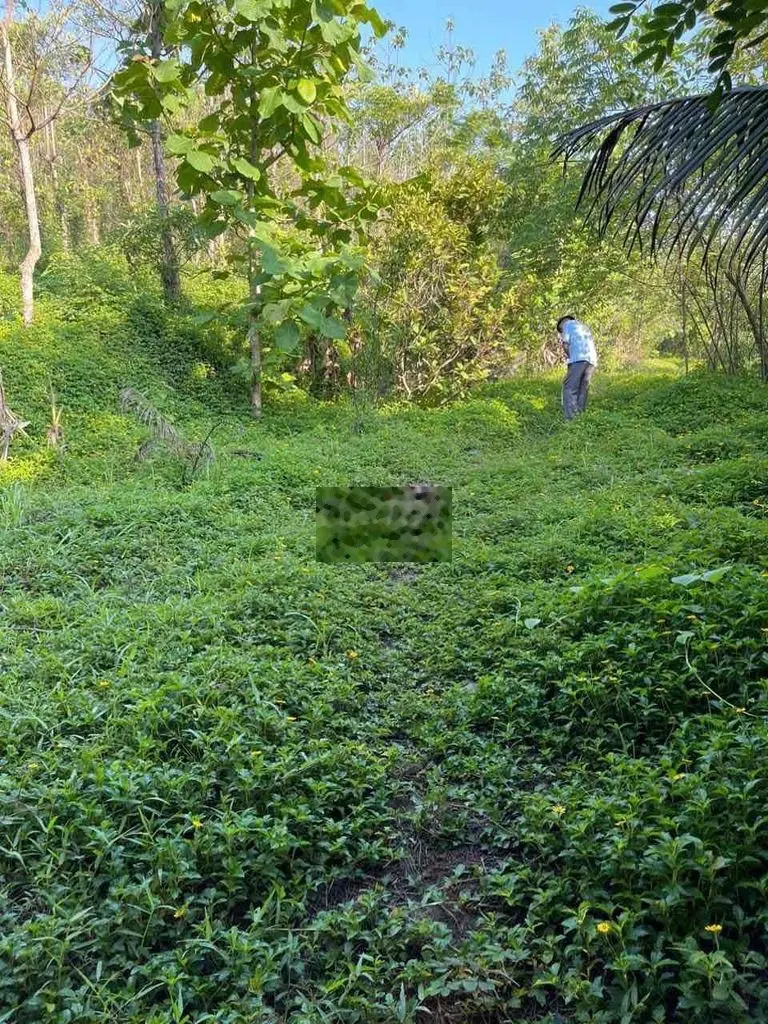 8hec View Sông Sêrpok Nam Jong Cư Jut đak nông Cách Bmt 22km