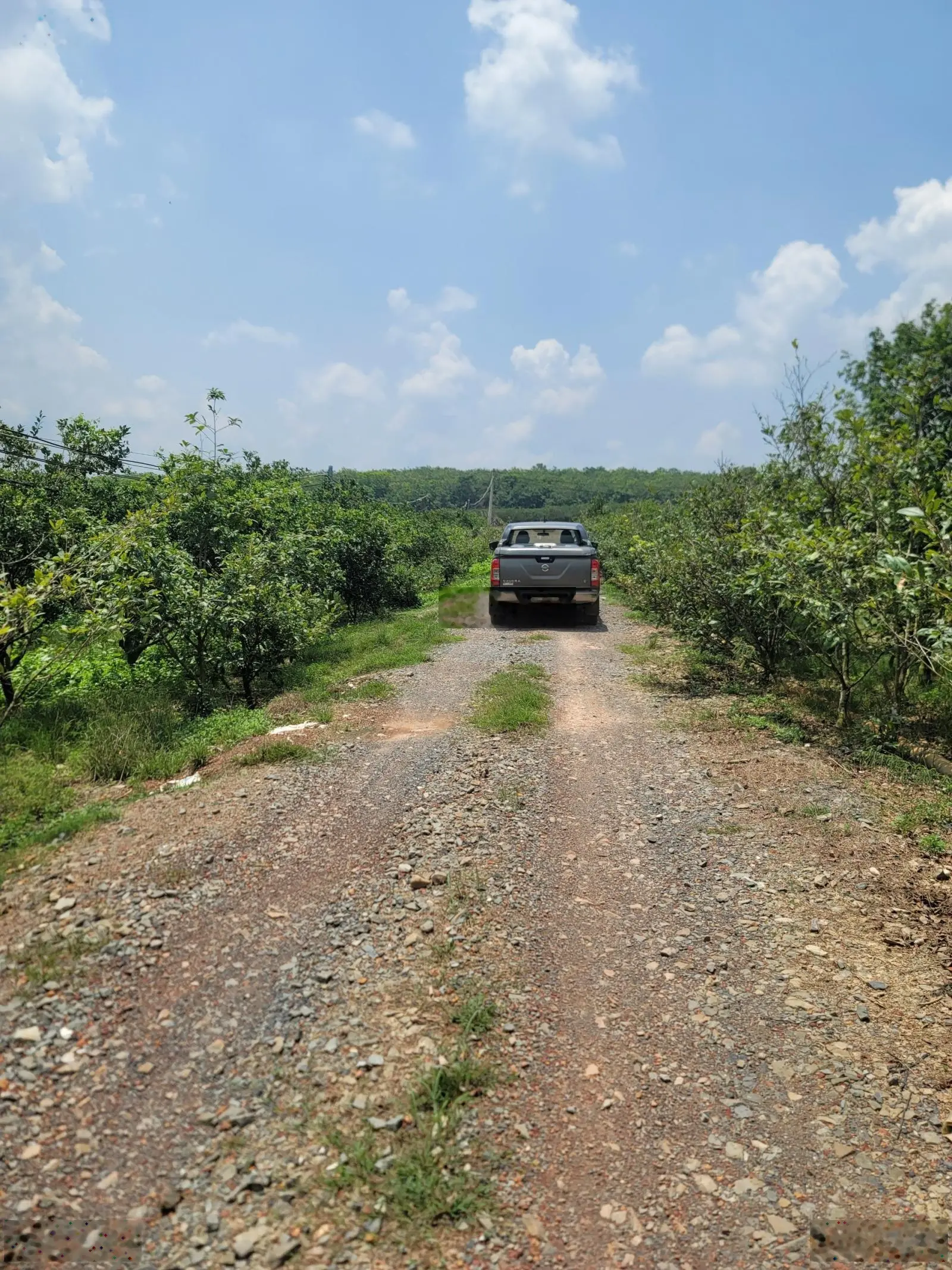 Bao ra sổ, giá còn thương lượng, 200m đất tại Xã Tân Định, Bắc Tân Uyên, Bình Dương