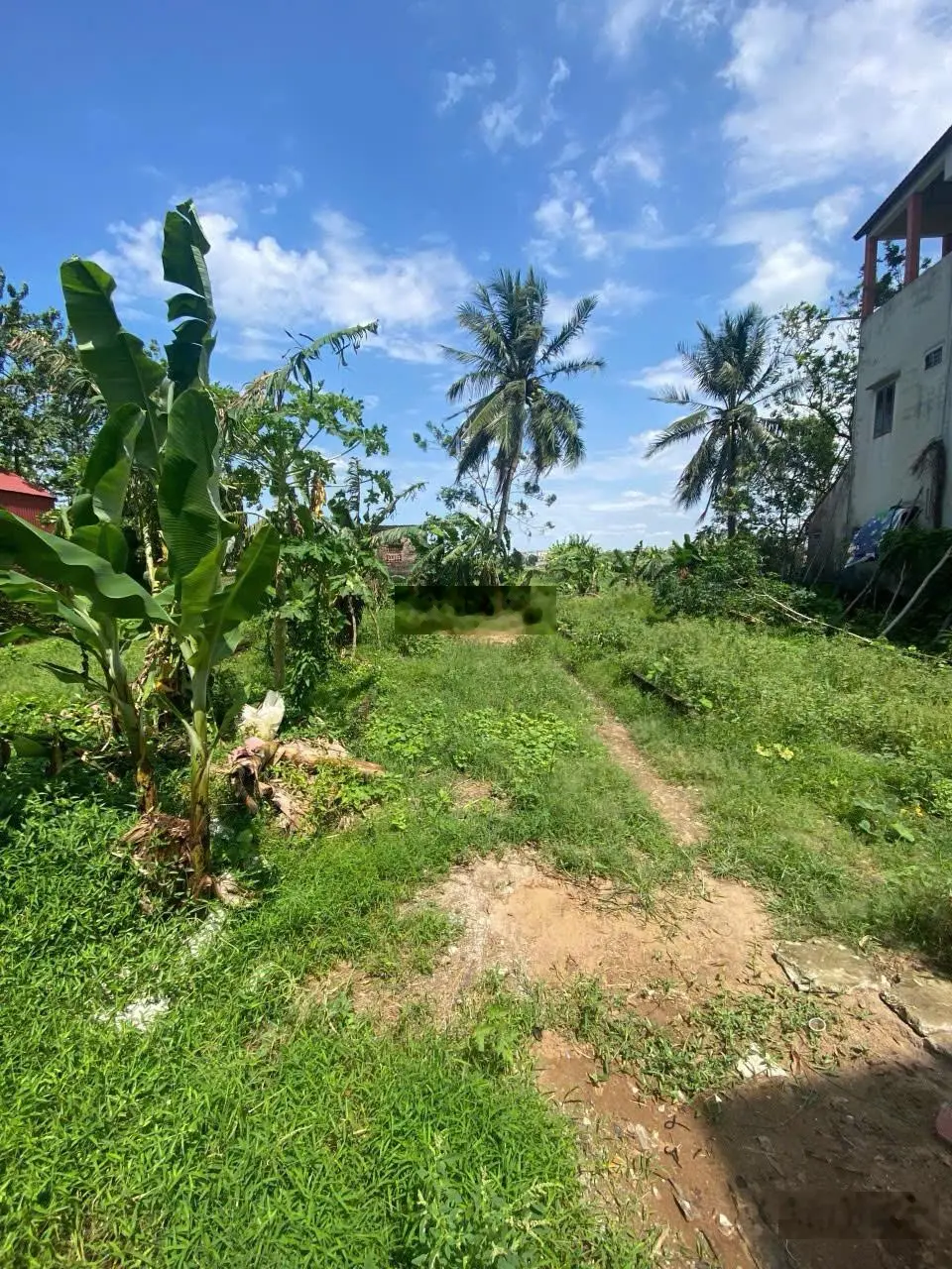 Bán đất Xã Thanh Cao, Thanh Oai, Hà Nội