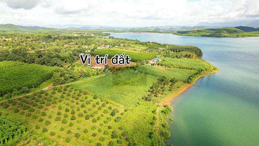 500m đất view hồ Sông Hinh toàn cảnh giá rẻ chỉ 225tr sẵn sổ